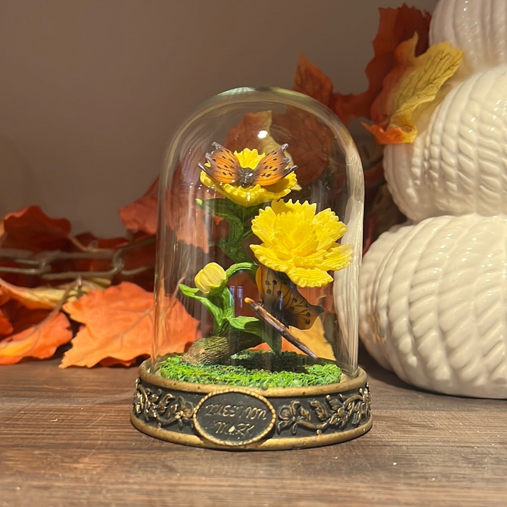 Vintage Taxidermy Butterfly Oddity Bubble Display